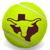 North Side High Steer Tennis(@NSHSsteerTennis) 's Twitter Profile Photo