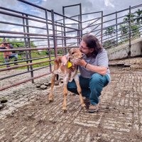 Allen Castillo (@vulca07) 's Twitter Profile