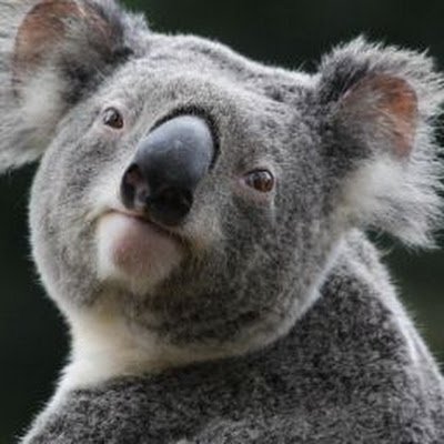 NhnDanh76063464's profile picture. 