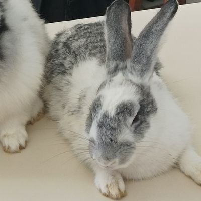 engtwice23's profile picture. 