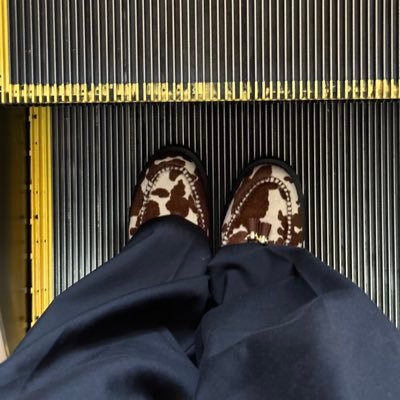 yanoshougo0726's profile picture. 20歳