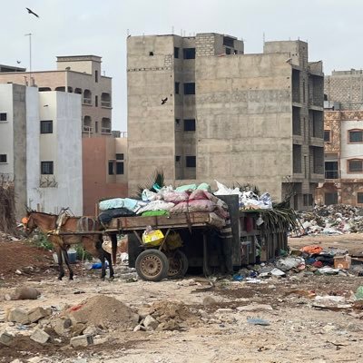 akoundoul's profile picture. Professeur d'Education Musicale-titulaire d'un DESS en GRH-Ex Directeur des RH chargé des affaires administratives du Grand Theatre National-Directeur des Arts