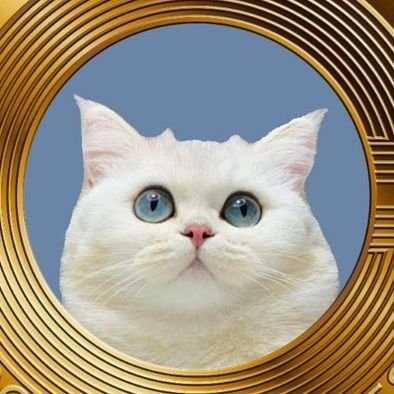 BONYTA Coin ($BNYTA) offers an exciting and purpose-driven opportunity to be part of a revolution that merges the worlds of cats, crypto, and philanthropy.