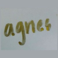 Agnes.L(@AgnesLin320) 's Twitter Profile Photo
