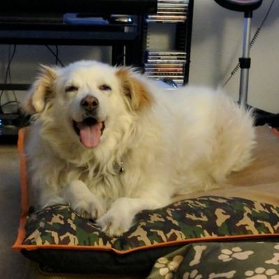 andrzejsmo49139's profile picture. 💋