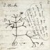 Plant philosophy (@plantsphilos) Twitter profile photo Plant philosophy (@plantsphilos) Twitter profile photo