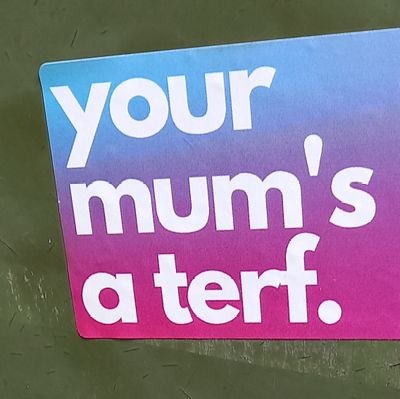 Same-sex attracted. Unashamedly left-wing & against trans homophobia & misogyny. Gender atheist. Standing with our terf sisters.
#GaynotQueer #LGBwithouttheT