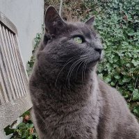 Spicebird Vogelmann📯💉💊🌶️ (@vogelfriedrich) 's Twitter Profile