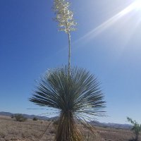 96º In The Shade (@96ntheshade) 's Twitter Profile
