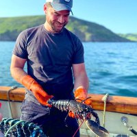 Tom Hickey (@tom_hickey1) 's Twitter Profile