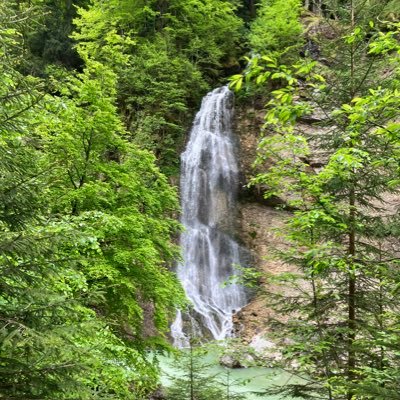 PartlBen80851's profile picture. 