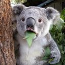 Daniel DeLucia - @DeluciaDan70962 - Twitter