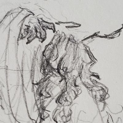 Side acc. for @AshlynX_Willows
My safe space for crazy doodles, ain't that grand, comrades?
