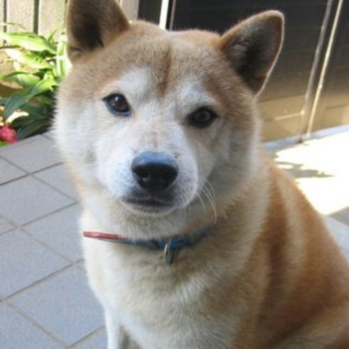 Dr_dyna's profile picture. 