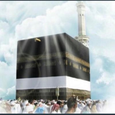 الجَهْلُ مَوتٌ وَنَارٌ لَهَا شَرَرُ ~ وَمَنْبَعُ الشَّرُ وَالآفَاتِ وَالضَرَرُ