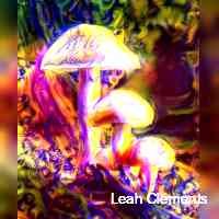 Leah Clements (@cclementsleaah) 's Twitter Profile