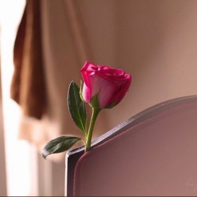 نغرد نرجو رضى الرحمن و أن نترك أثرًا ينفعنا عند الديّان