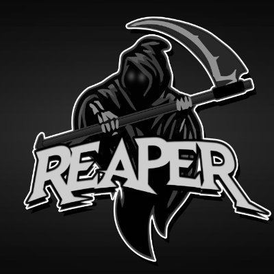 ReaperCODWZ2's profile picture. 