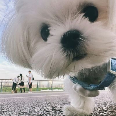 Cynthia_990913's profile picture. 연준💕