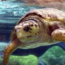 Andrea Sparrow - @AndreaSpar79504 - Twitter