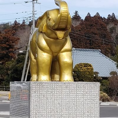 時には真面目に考えるけど、楽しい事は大好きです😄