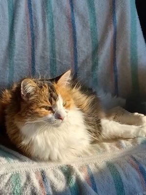 BerndtRose34723's profile picture. Freedom!