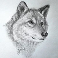 erdemYılmaz (@erdemerdemy) 's Twitter Profile