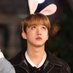 changbin as bunnies 🐰 (@binasbunnies) Twitter profile photo