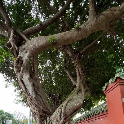 crisis123456781's profile picture. 收拾收拾宿舍