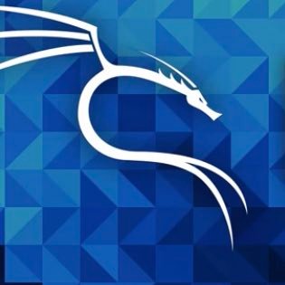 sudo_nmap's profile picture. cyber security white hat