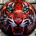 Bo Buckley (@coachbobuckley) Twitter profile photo Bo Buckley (@coachbobuckley) Twitter profile photo