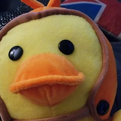 davidsducks Profile Picture