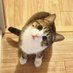 Cecily (@jbggmg) Twitter profile photo Cecily (@jbggmg) Twitter profile photo