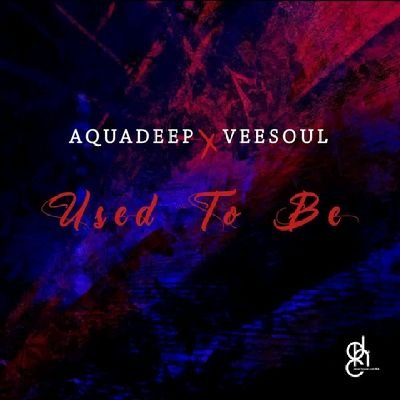 🎶🎛️🎚️🎧🎹 Deep/Soulful House Dj/Producer...