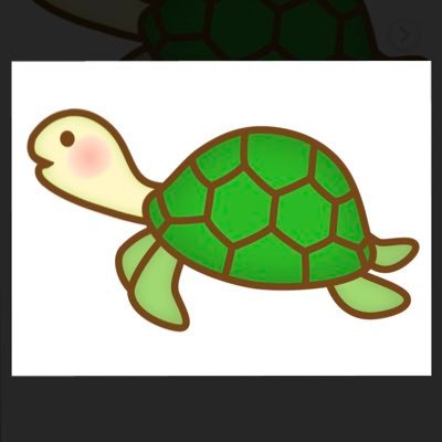 kame12120228's profile picture. 9月23日女の子🎀誕生！！