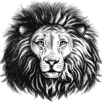 Alphamindset23's profile picture. 🦁Aim:Improvement