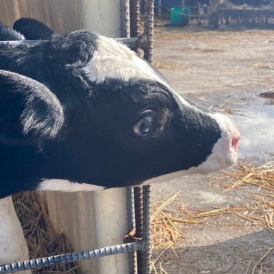 牧場勤務（牛）🐄🌳🐄競馬と麻雀が好き🏇🀄️ ギャンブルが友達🤣　よろしくで〜す