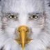 Happy Eagle (@borgiababe9) Twitter profile photo Happy Eagle (@borgiababe9) Twitter profile photo