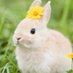 Der (@der384017455455) Twitter profile photo Der (@der384017455455) Twitter profile photo