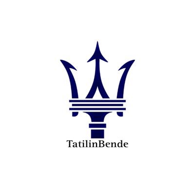 TatilinBende Profile Picture