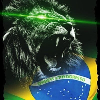 Brasil Conservador®️🇧🇷🇺🇸🇮🇱100%SDV Profile