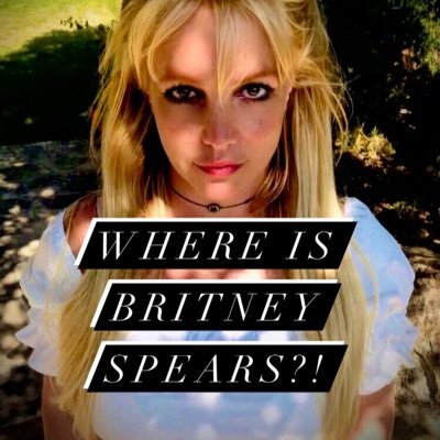 Freelance journalist. I will expose the truth. Justice for Britney.