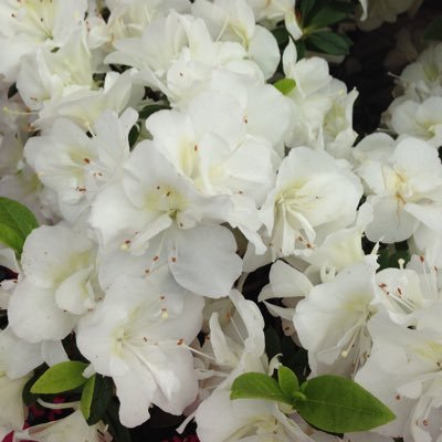 towhearts's profile picture. 🌏☄️⚫️思いを上手く伝えられる自信がないので安易にツィート等しないことをどうかお許しください🙇