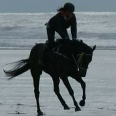 TraceyJRic15856's profile picture. 