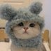 iiJJxabbb (@jxabbb) Twitter profile photo iiJJxabbb (@jxabbb) Twitter profile photo