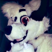 Lucky Spots 🐾🐶🎧(read/check pins) OL(@FurrywolfWolfy) 's Twitter Profile Photo