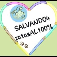 SALVANDO4patasAL100% 🐾(@SALVANDO4AL1OO) 's Twitter Profile Photo
