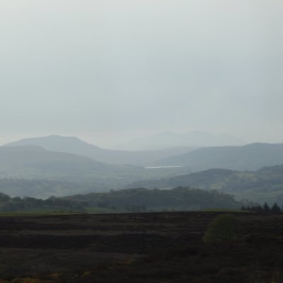 haaannnaaar's profile picture. 