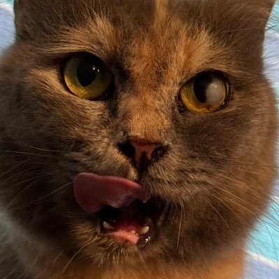 milopingpanas's profile picture. bukan خ bukan ح tapi ج