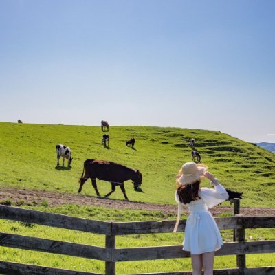 SaglamAhmett's profile picture. I hate people who steal my tweets before I tweet them.